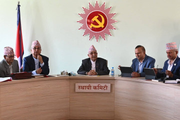 समानुपातिकमा एमालेले कटायो तीन लाख मत 